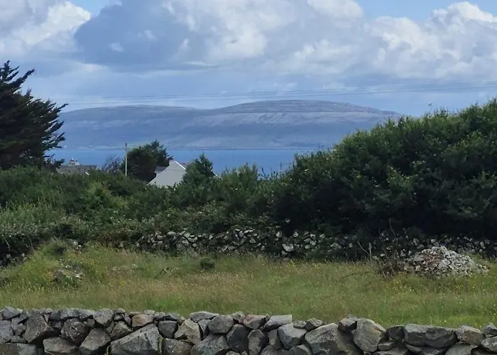 Beachwood In Spiddal Galway